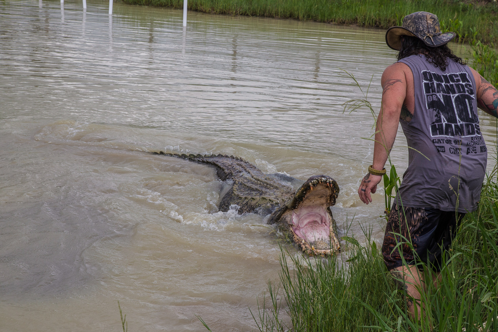 1035Man teases Big Al the alligator at Gator Country ,Beaumont, Texas
